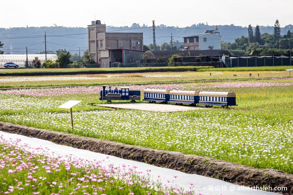 2023桃園花彩節大溪花彩節（時間/交通接駁停車/主題活動，順遊中庄吊橋更好玩） @愛伯特