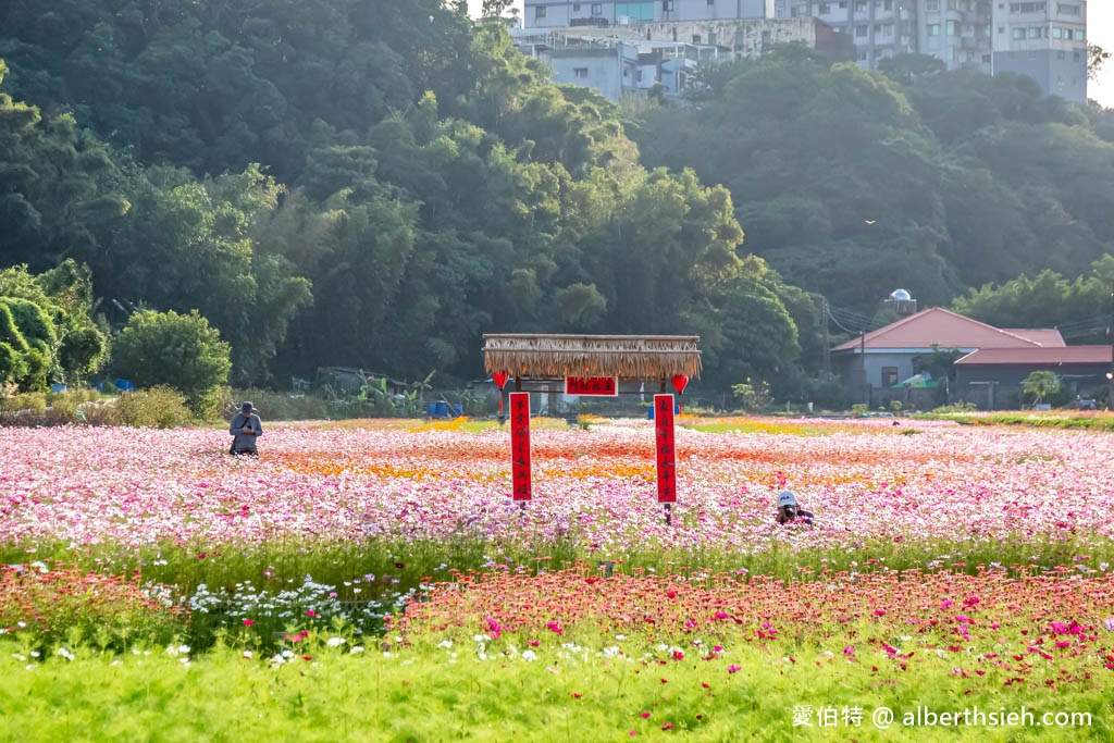 2023桃園花彩節大溪花彩節（時間/交通接駁停車/主題活動，順遊中庄吊橋更好玩） @愛伯特