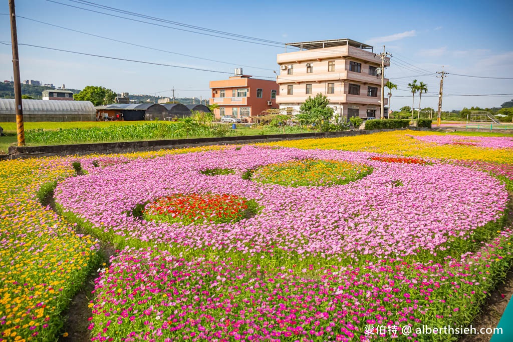 2023桃園花彩節大溪花彩節（時間/交通接駁停車/主題活動，順遊中庄吊橋更好玩） @愛伯特