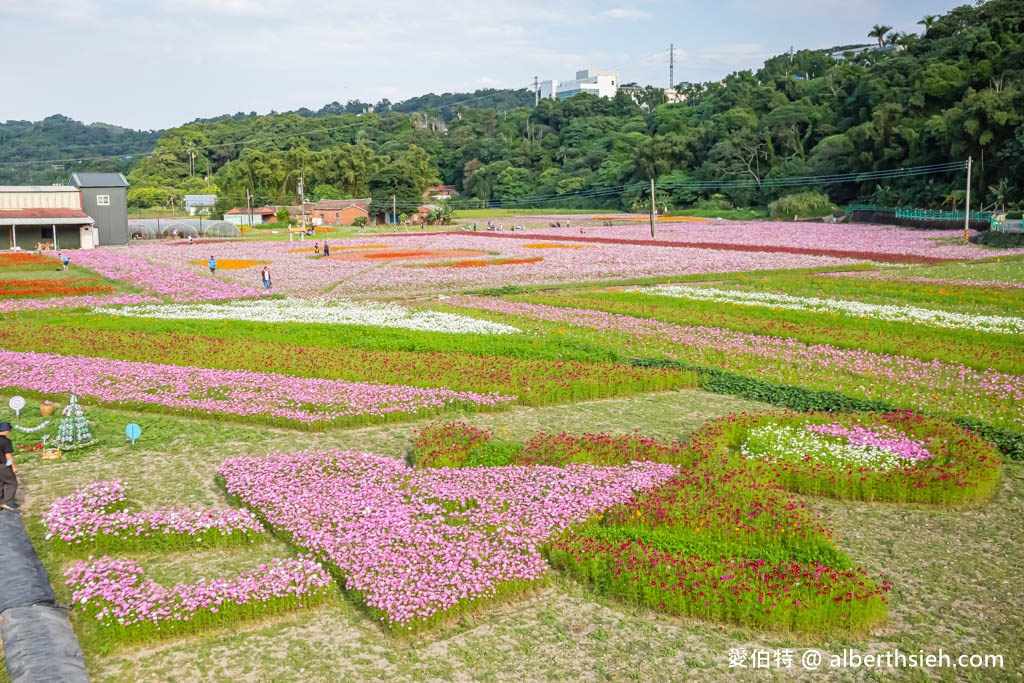 2023桃園花彩節大溪花彩節（時間/交通接駁停車/主題活動，順遊中庄吊橋更好玩） @愛伯特