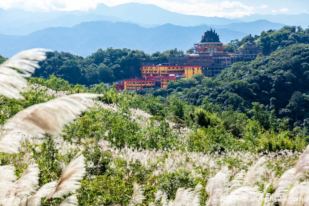 三角埔頂山(北部防災降雨雷達(樹林區))（整座山頭雪白芒草任你拍） @愛伯特