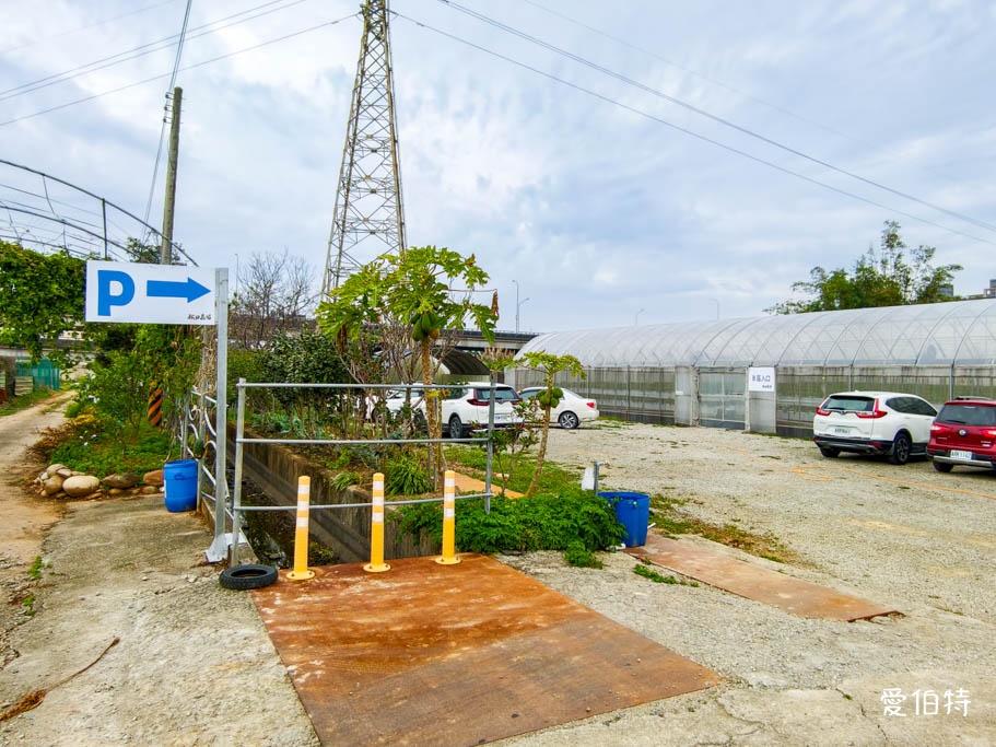 桃園大溪採草莓推薦|秋田農場,溫室高架種植,日系紅顏、白草莓 @愛伯特