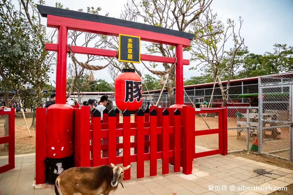 埔心牧場萌萌村．桃園親子景點（優惠門票，桃園動物園，水豚君、羊駝、梅花鹿） @愛伯特