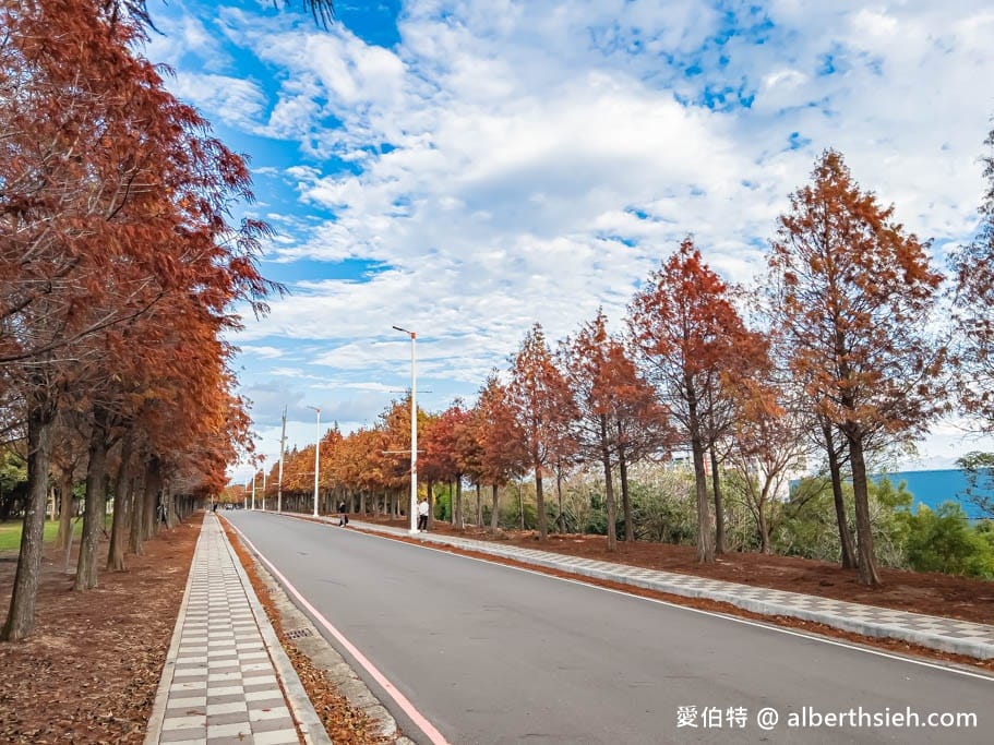 台中后里麗寶落羽松大道｜1.2公里免費隨你拍，異國風情超浪漫