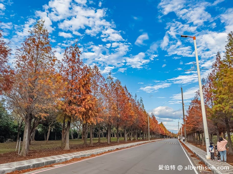 台中后里麗寶落羽松大道｜1.2公里免費隨你拍，異國風情超浪漫