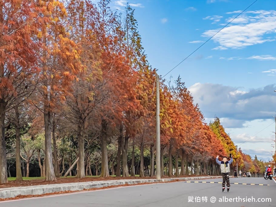 台中后里麗寶落羽松大道｜1.2公里免費隨你拍，異國風情超浪漫