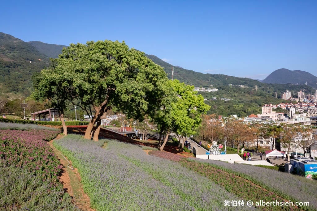 2024北投社三層崎公園．台北北投景點（台版富良野花海，萬坪漸層色山丘IG打卡必拍）