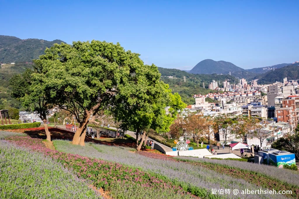 2024北投社三層崎公園．台北北投景點（台版富良野花海，萬坪漸層色山丘IG打卡必拍）