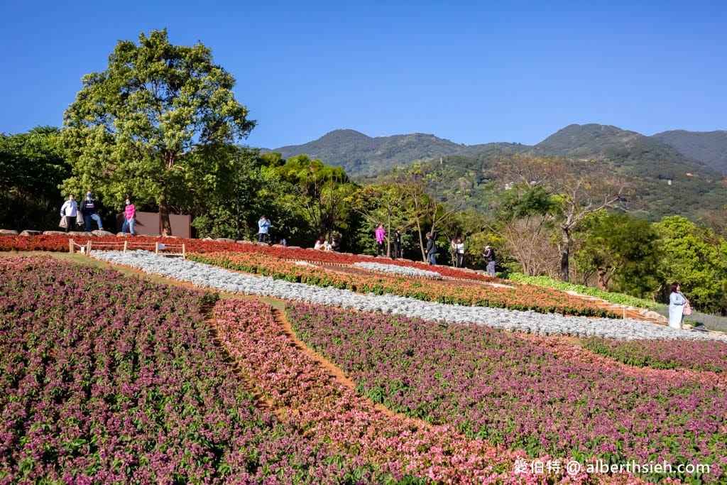 2024北投社三層崎公園．台北北投景點（台版富良野花海，萬坪漸層色山丘IG打卡必拍）