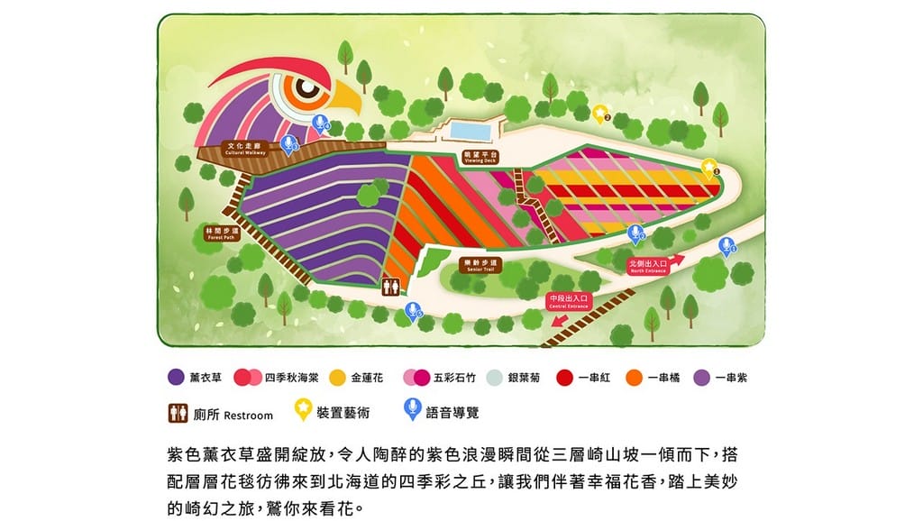 2024北投社三層崎公園．台北北投景點（台版富良野花海，萬坪漸層色山丘IG打卡必拍）