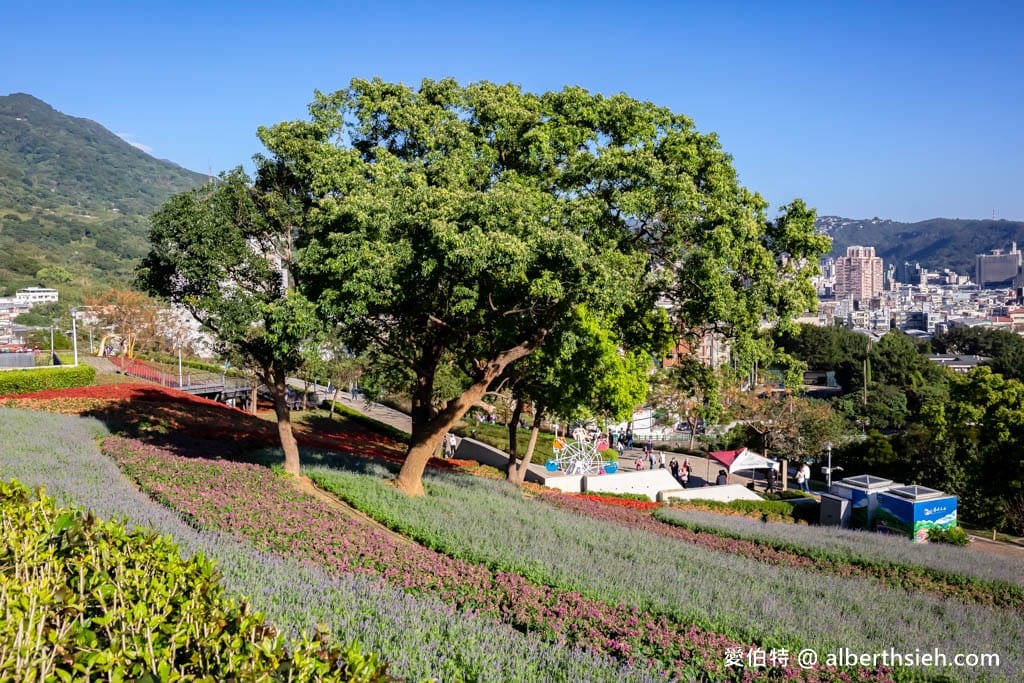 2024北投社三層崎公園．台北北投景點（台版富良野花海，萬坪漸層色山丘IG打卡必拍）