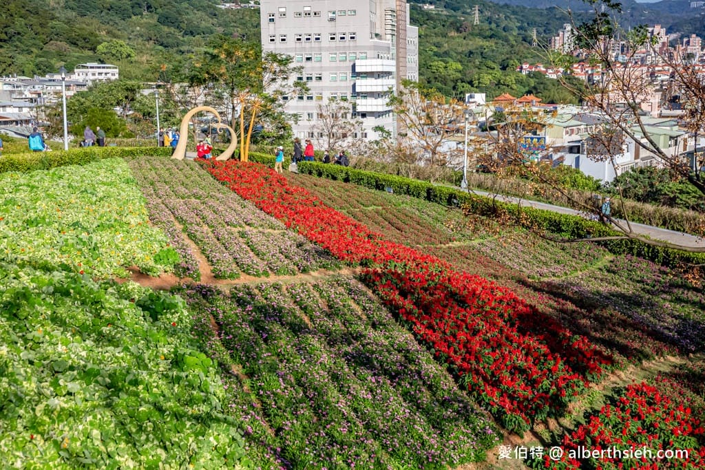 2024北投社三層崎公園．台北北投景點（台版富良野花海，萬坪漸層色山丘IG打卡必拍）