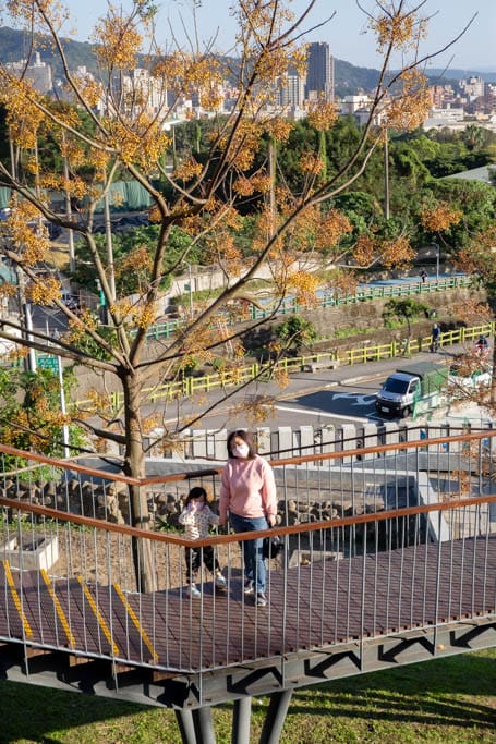 2024北投社三層崎公園．台北北投景點（台版富良野花海，萬坪漸層色山丘IG打卡必拍）