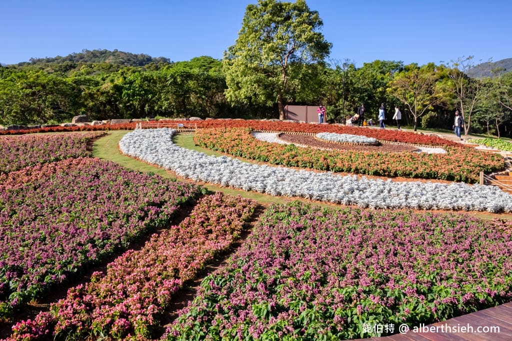 2024北投社三層崎公園．台北北投景點（台版富良野花海，萬坪漸層色山丘IG打卡必拍）