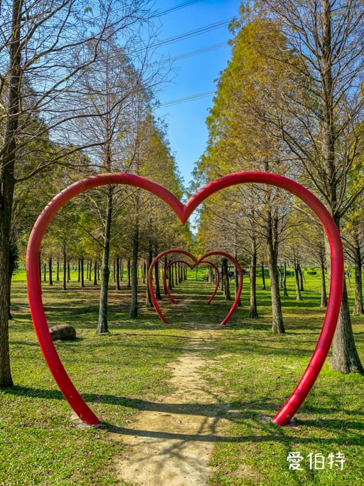 桃園大溪河濱公園落羽松｜大草坪悠閒野餐、共融遊具、愛心造景 @愛伯特