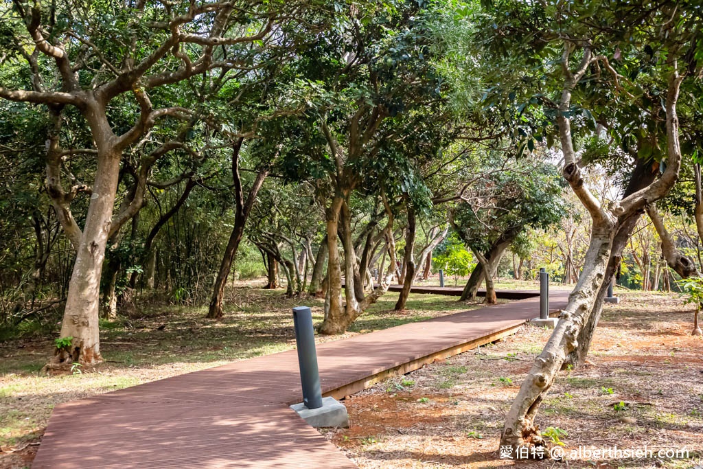 桃園中壢過嶺森林公園（落羽松、楓樹、山櫻花、風鈴木等2萬多棵樹木，充滿綠意平坦好走！） @愛伯特