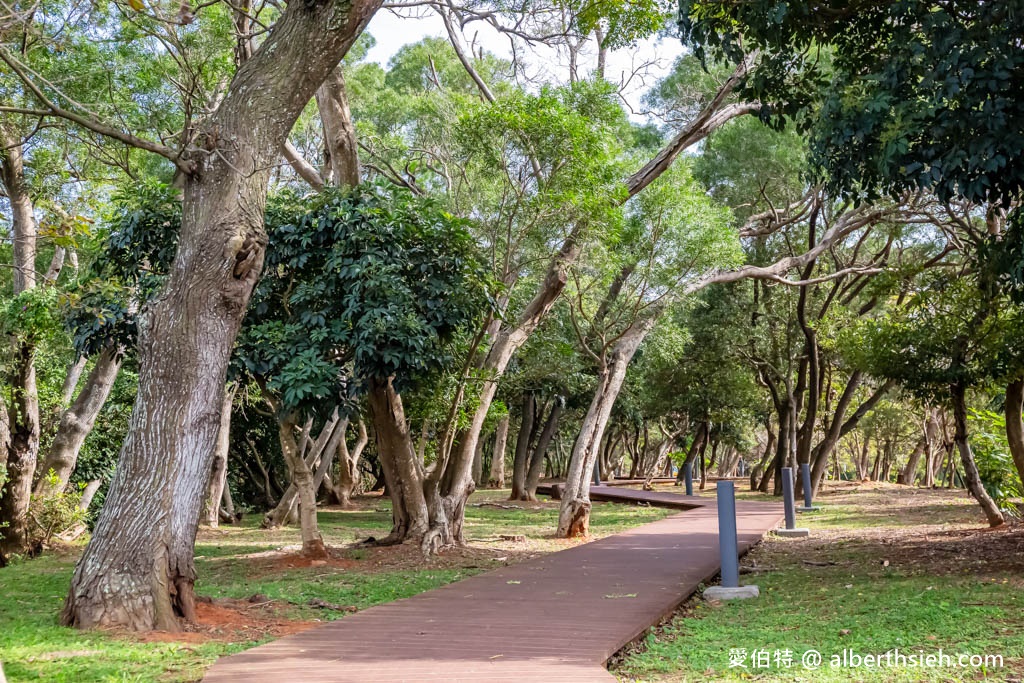 桃園中壢過嶺森林公園（落羽松、楓樹、山櫻花、風鈴木等2萬多棵樹木，充滿綠意平坦好走！） @愛伯特