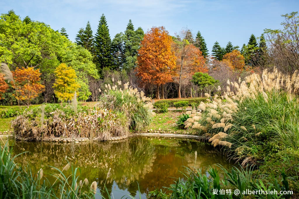 桃園中壢過嶺森林公園（落羽松、楓樹、山櫻花、風鈴木等2萬多棵樹木，充滿綠意平坦好走！） @愛伯特