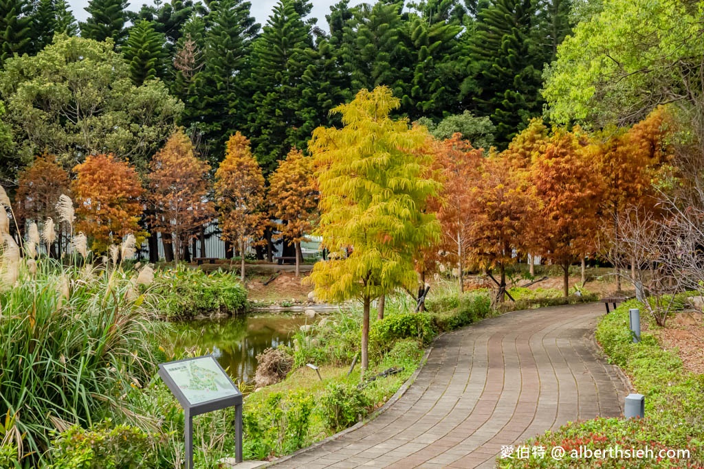 桃園中壢過嶺森林公園（落羽松、楓樹、山櫻花、風鈴木等2萬多棵樹木，充滿綠意平坦好走！） @愛伯特