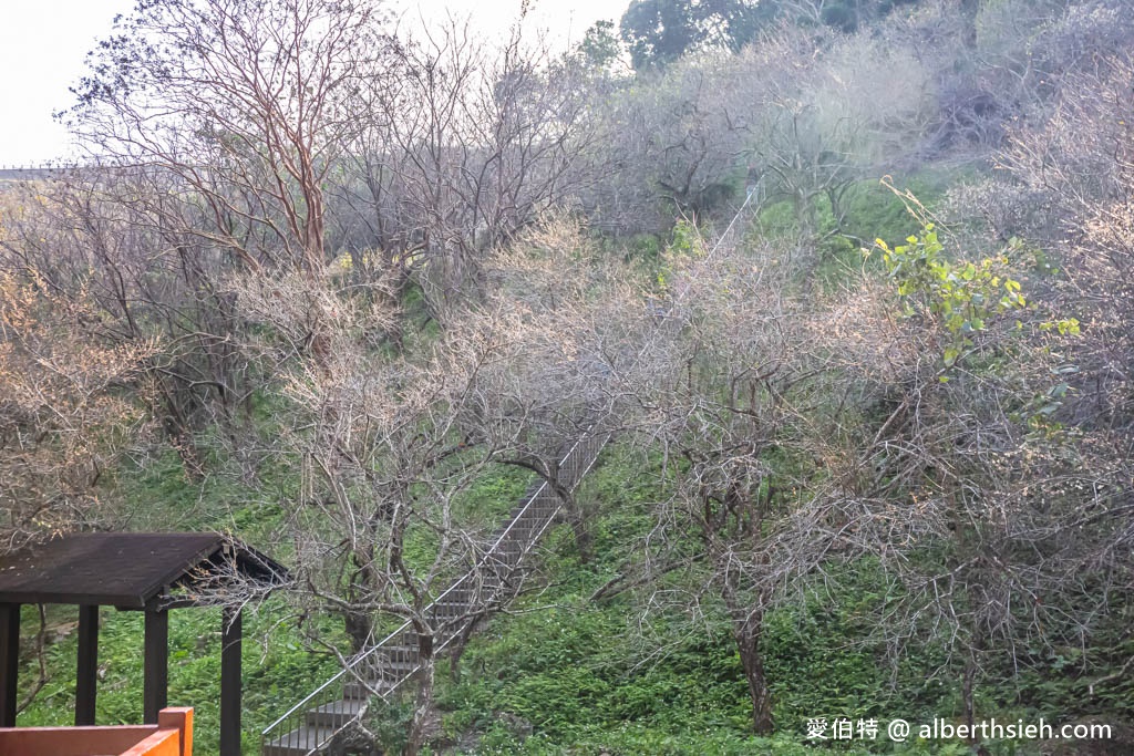 石門水庫一日遊推薦？（即時影像，入園停車收費，賞楓紅，梅花園，搭船遊湖懶人包） @愛伯特