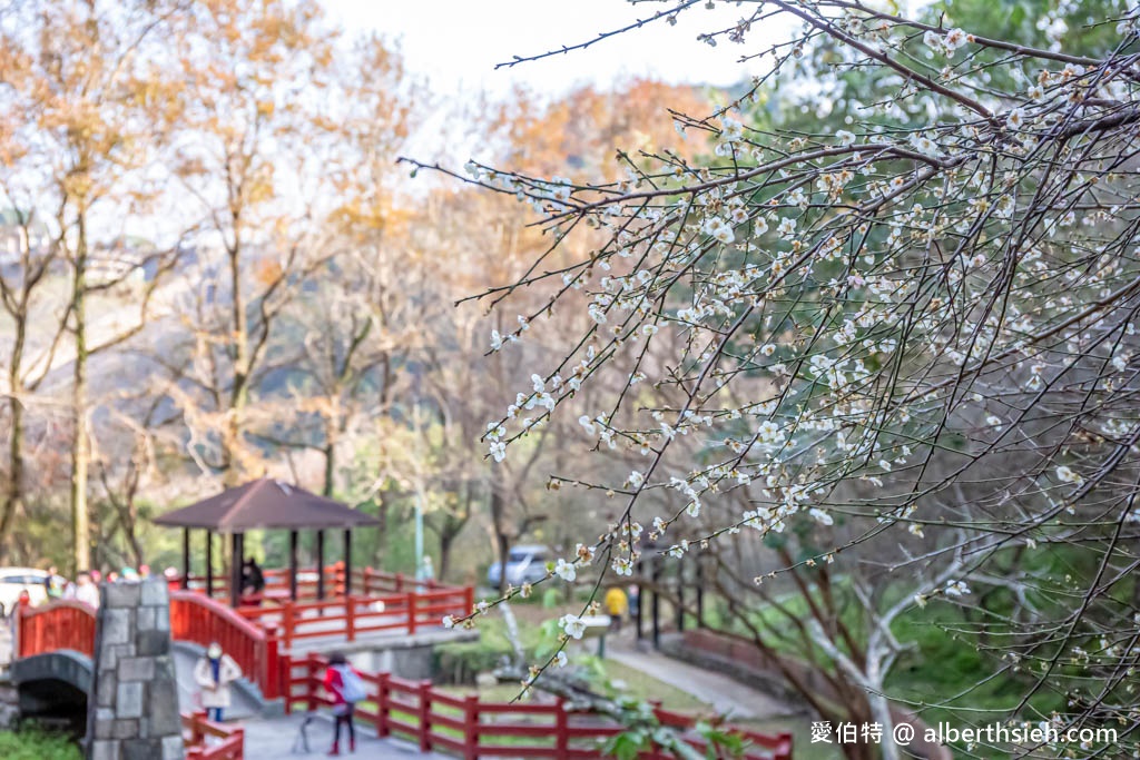 石門水庫一日遊推薦？（即時影像，入園停車收費，賞楓紅，梅花園，搭船遊湖懶人包） @愛伯特