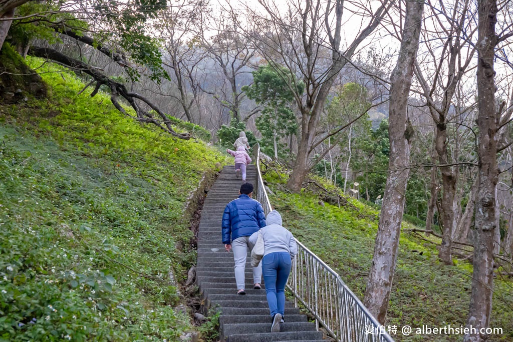 石門水庫一日遊推薦？（即時影像，入園停車收費，賞楓紅，梅花園，搭船遊湖懶人包） @愛伯特