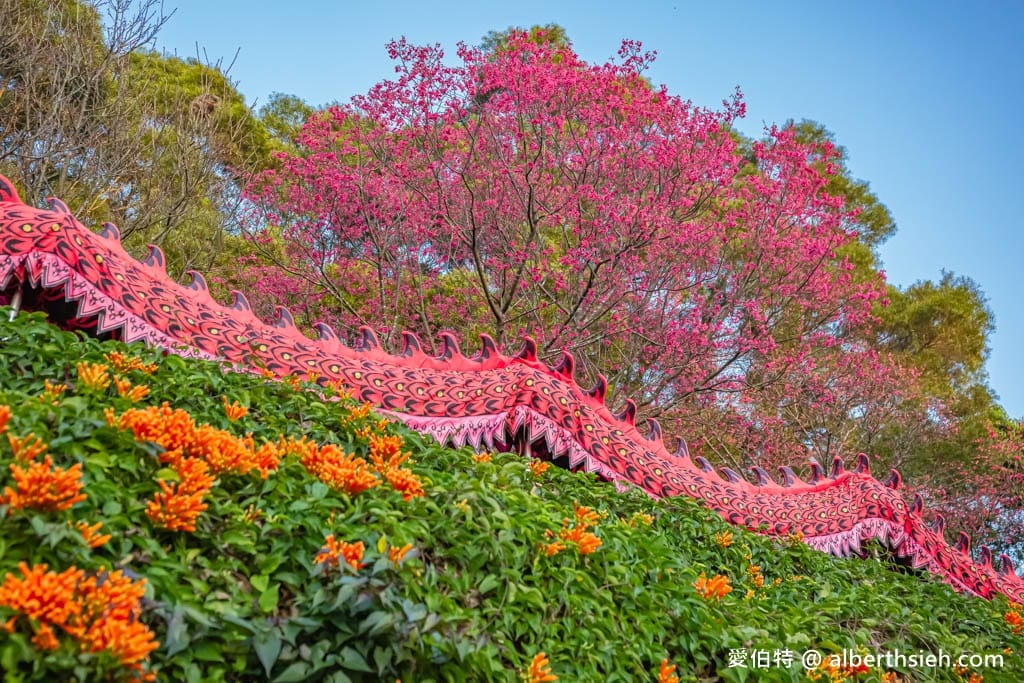 2024苗栗銅鑼炮仗花步道（銅鑼環保公園/櫻花隧道/季節限定雙層炮仗花海瀑布）
