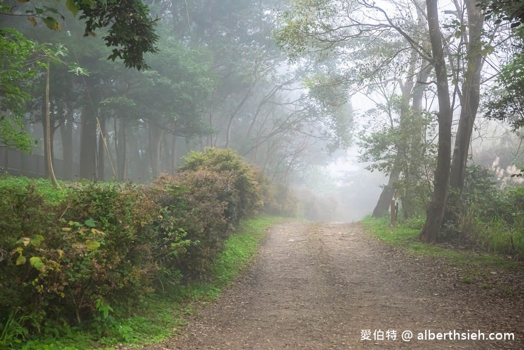 三義藝術村櫻花渡假會館．苗栗三義賞櫻景點（桃紅八重櫻搭配霧氣有著美麗的朦朧美）