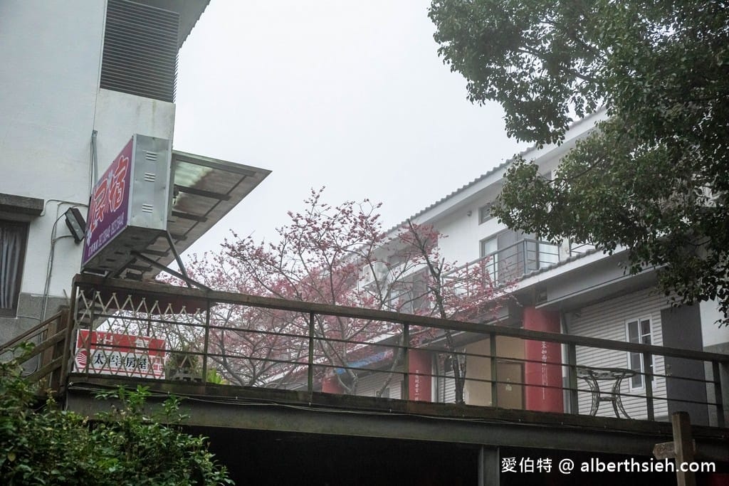 三義藝術村櫻花渡假會館．苗栗三義賞櫻景點（桃紅八重櫻搭配霧氣有著美麗的朦朧美）