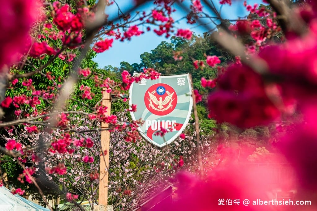 台中后里一日遊．后里櫻花景點（來泰安派出所/中科崴立賞櫻週邊有哪些景點適合賞景吃美食？）