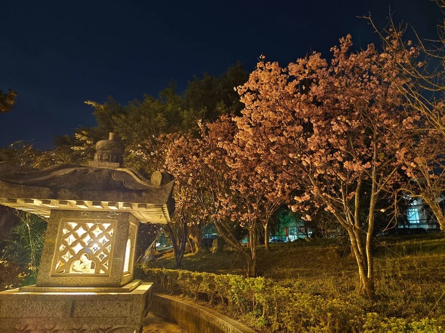 林口超靈驗｜竹林山觀音寺，壯麗檜木建築與在地祈福聖地
