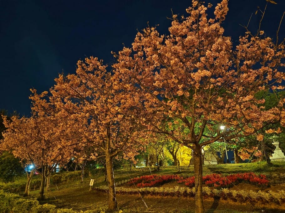 林口超靈驗｜竹林山觀音寺，壯麗檜木建築與在地祈福聖地