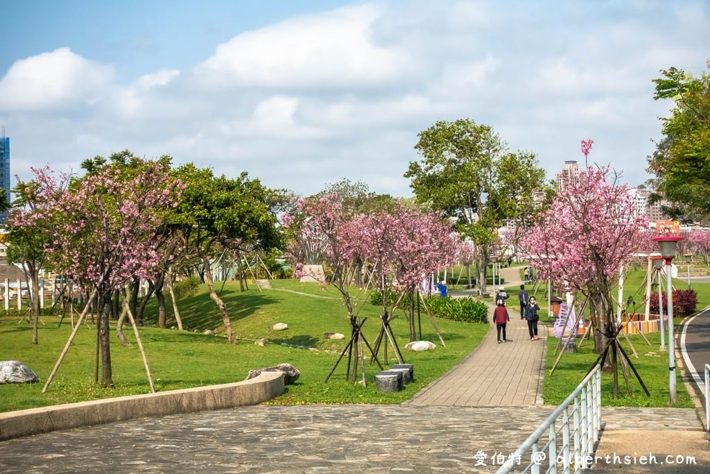 桃園櫻花景點．檜溪河濱公園（上百棵的粉紅富士櫻盛開美不勝收）
