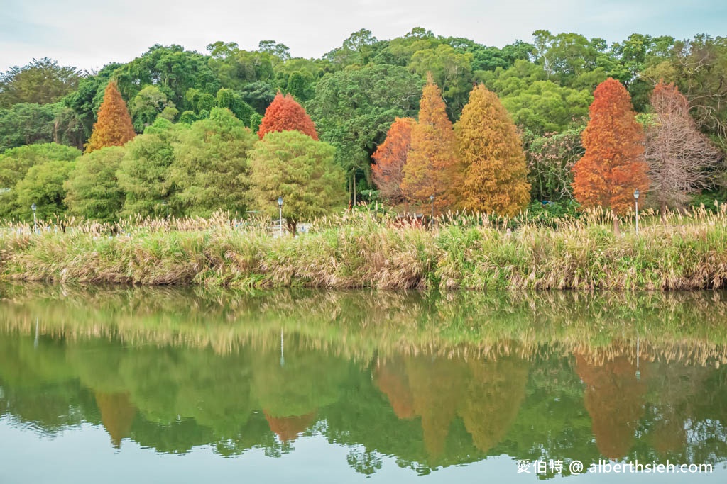 大溪慈湖步道/慈湖陵寢．桃園親子推薦景點（湖光山色美景，欣賞不NG操槍秀，跟蔣公銅像拍照） @愛伯特