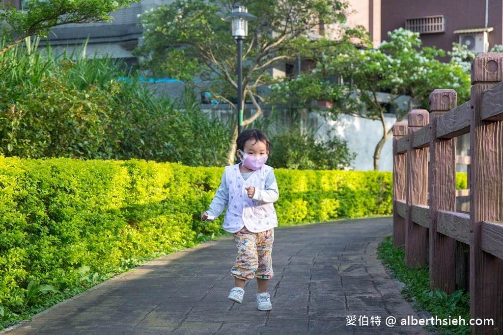 桃園平鎮流蘇步道．社子支渠流蘇步道（流蘇花&麻葉繡球相互爭妍鬥豔的四月雪賞花步道）
