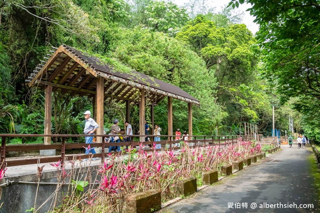 三坑鐵馬道｜桃園龍潭景點，賞桐花騎腳踏車還可逛老街