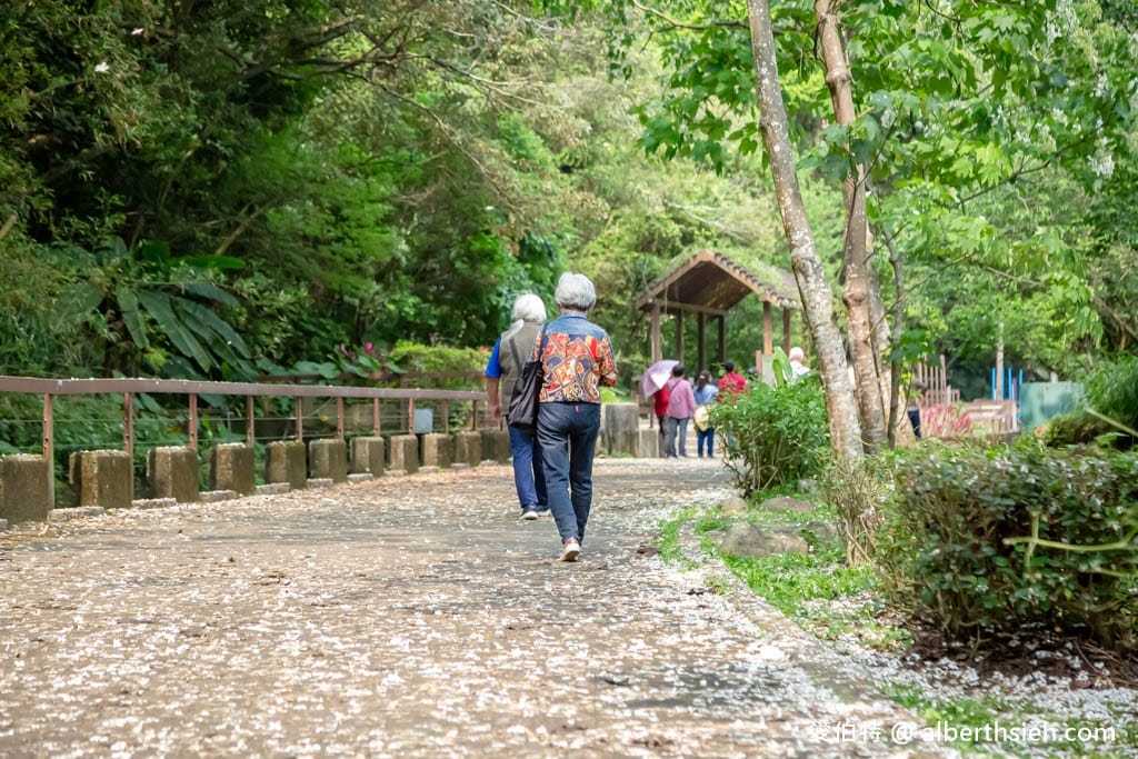 三坑鐵馬道｜桃園龍潭景點，賞桐花騎腳踏車還可逛老街