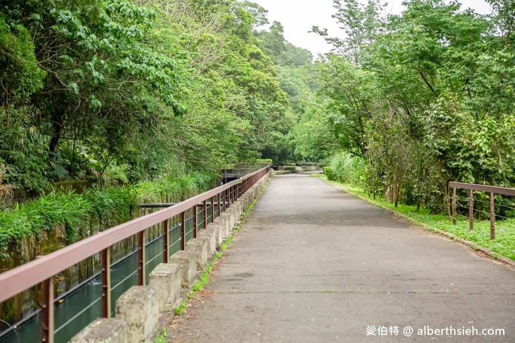 三坑鐵馬道｜桃園龍潭景點，賞桐花騎腳踏車還可逛老街