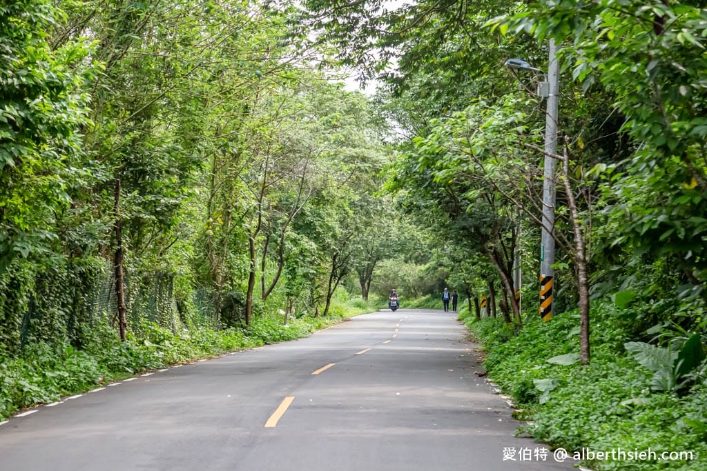三坑鐵馬道｜桃園龍潭景點，賞桐花騎腳踏車還可逛老街