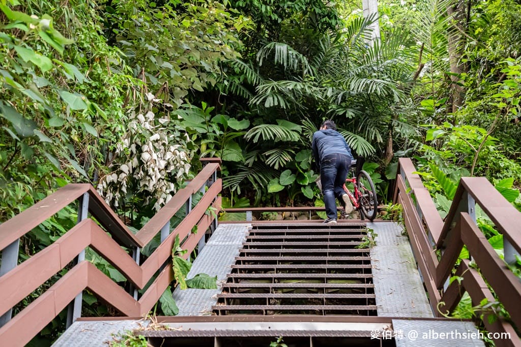 三坑鐵馬道｜桃園龍潭景點，賞桐花騎腳踏車還可逛老街