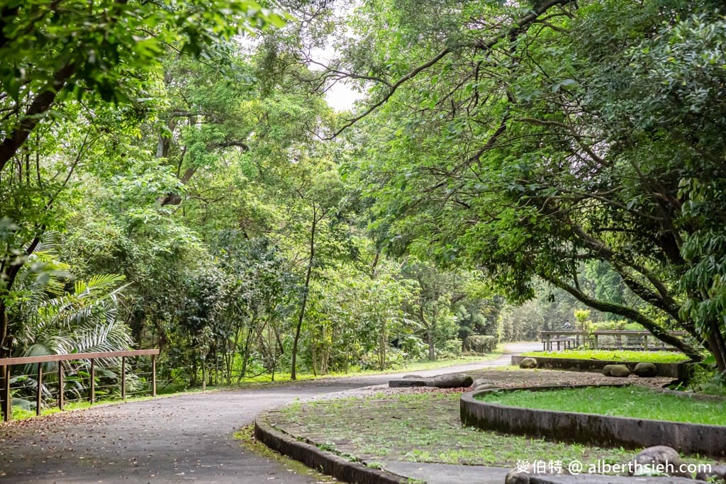 三坑鐵馬道｜桃園龍潭景點，賞桐花騎腳踏車還可逛老街