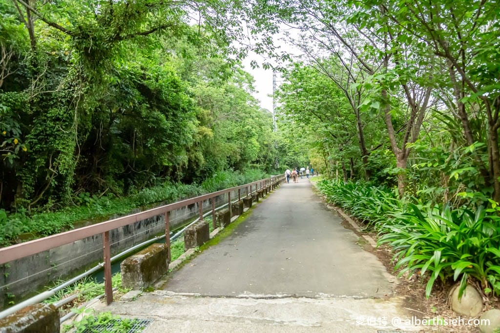 三坑鐵馬道｜桃園龍潭景點，賞桐花騎腳踏車還可逛老街