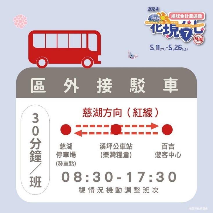 2024花現台七-繡球金針農遊趣（大溪金針花，復興繡球花拍起來）