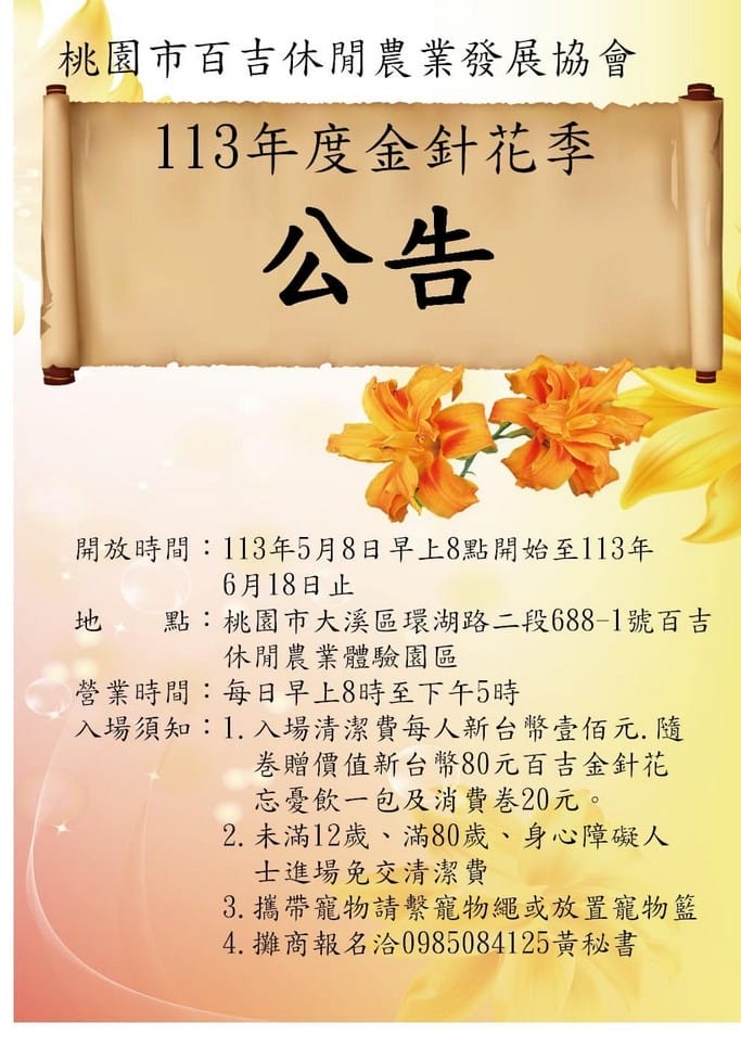 2024大溪金針花（百吉休閒農場17萬株金針花最新花況）