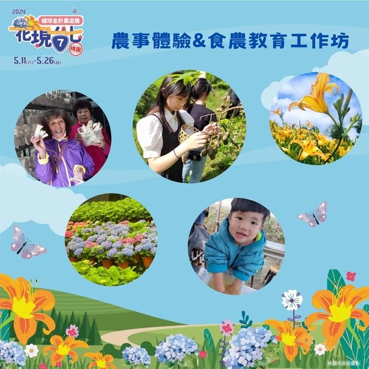 2024花現台七-繡球金針農遊趣（大溪金針花，復興繡球花拍起來）