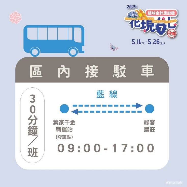 2024花現台七-繡球金針農遊趣（大溪金針花，復興繡球花拍起來）