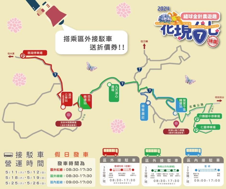 2024花現台七-繡球金針農遊趣（大溪金針花，復興繡球花拍起來）