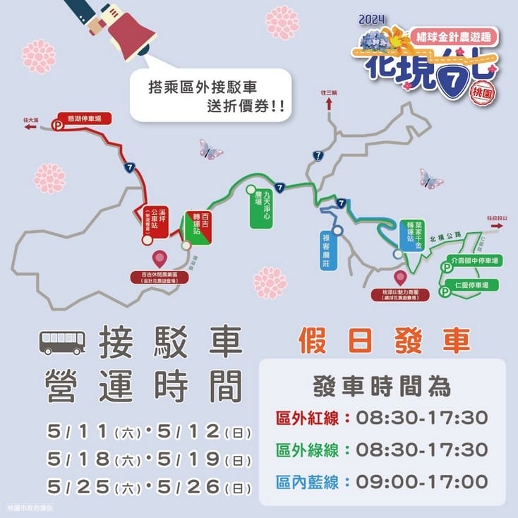 2024花現台七-繡球金針農遊趣（大溪金針花，復興繡球花拍起來）
