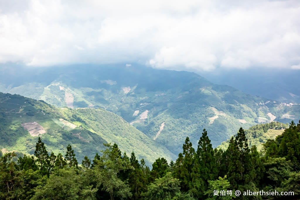 南投清境高空觀景步道（免排隊優惠門票？走多久？）