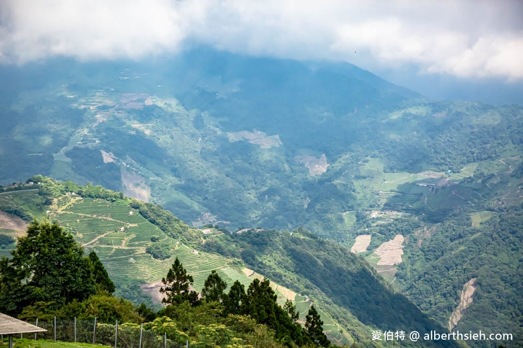 南投清境高空觀景步道（免排隊優惠門票？走多久？）